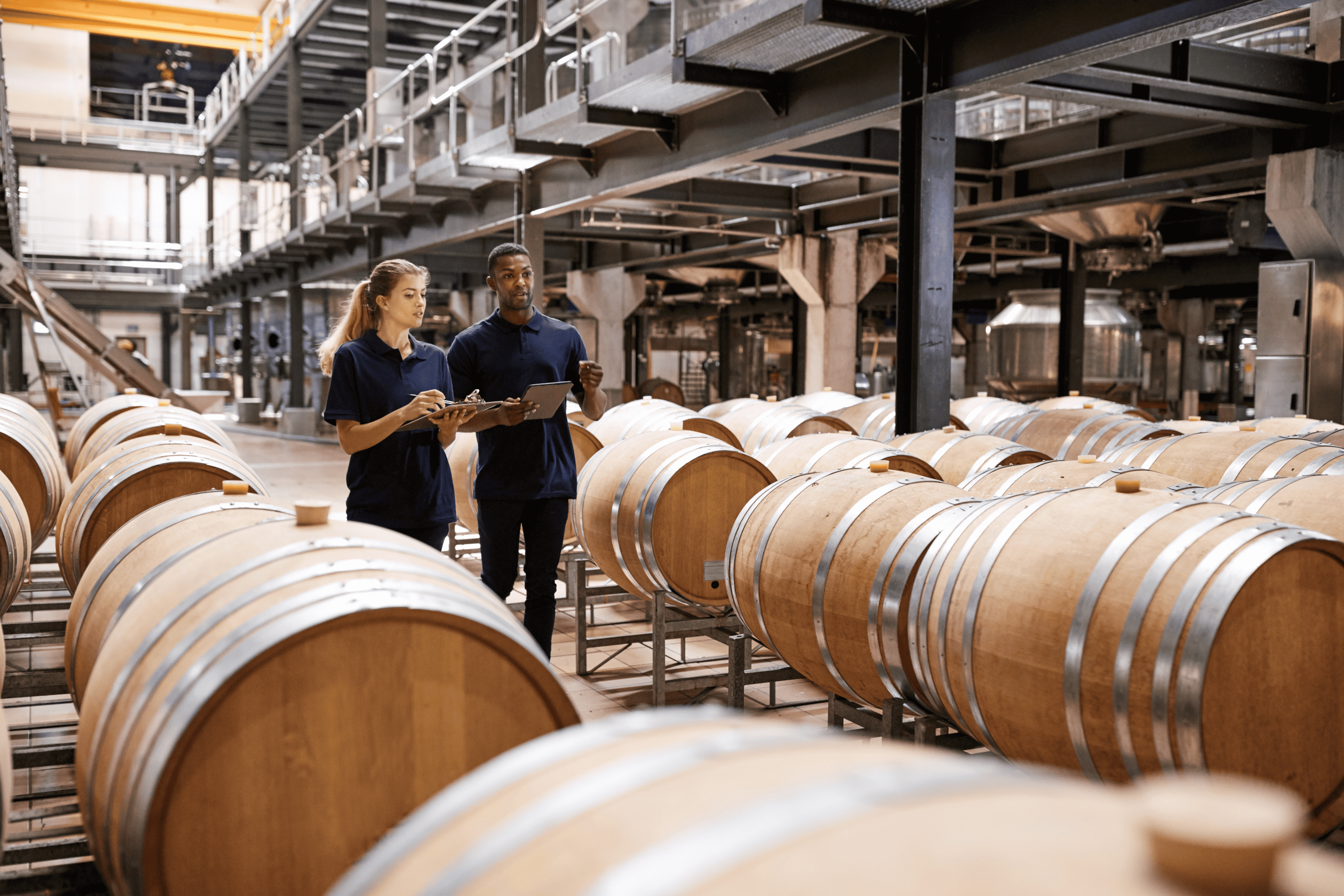 Two employees assessing wine barrels inside factory.